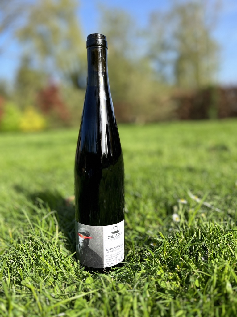 Colbacco (Italie – Ombrie) – Quartoprotocollo 2019