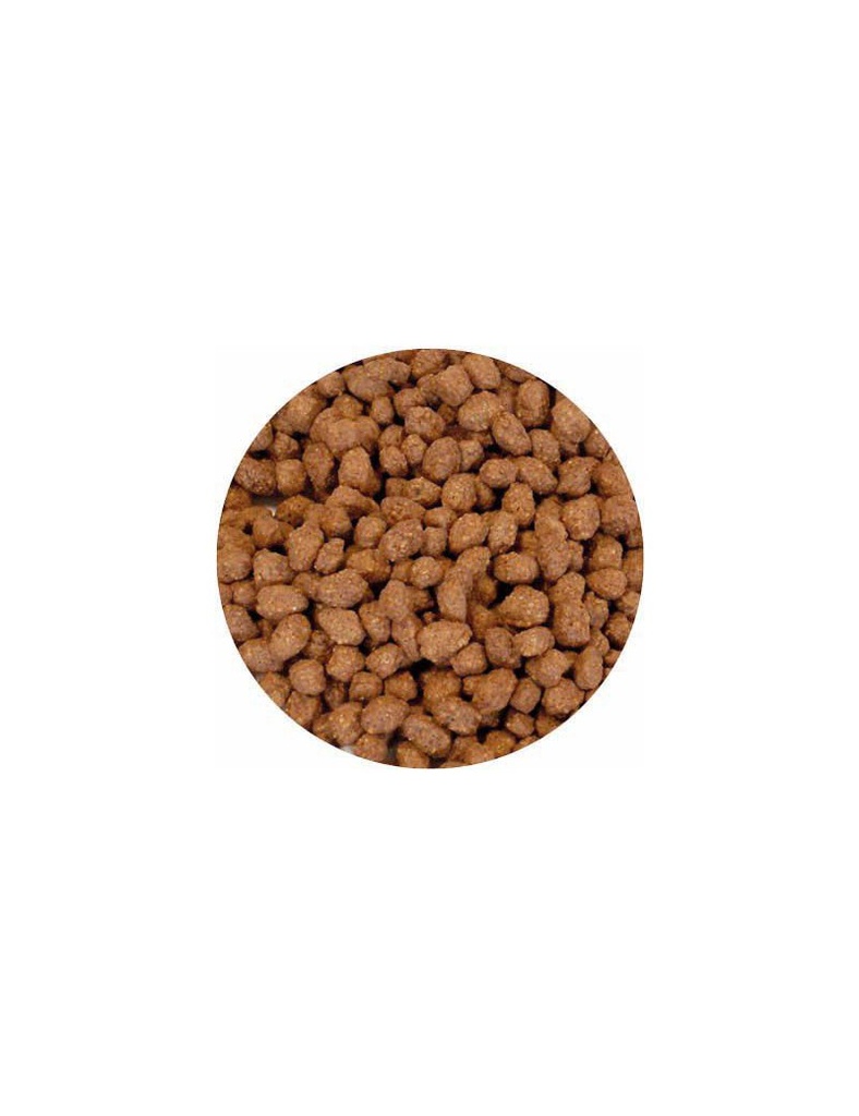 Choco Crisp - 3 Kg