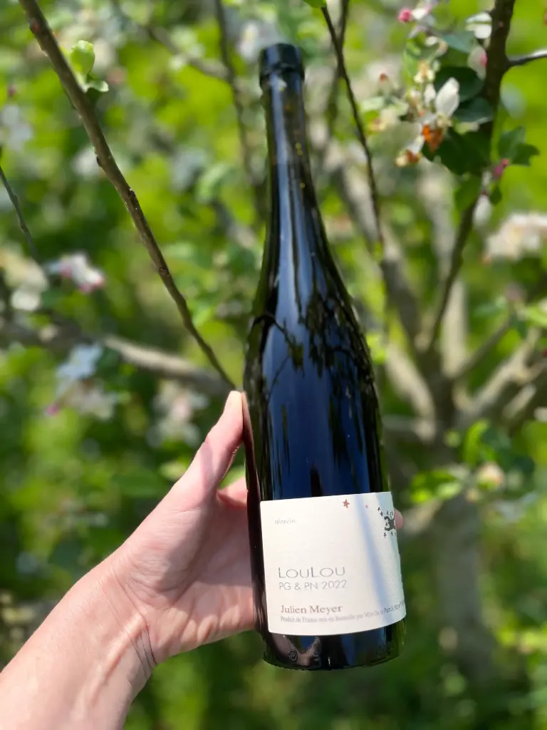 Julien Meyer (France - Alsace) - Assemblage PG & PN, Loulou 2022