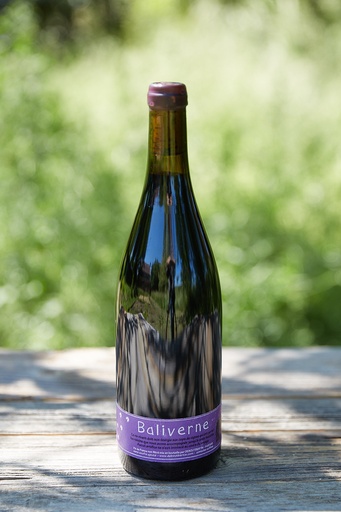 Deboutbertin (France – Loire) – Baliverne 2019