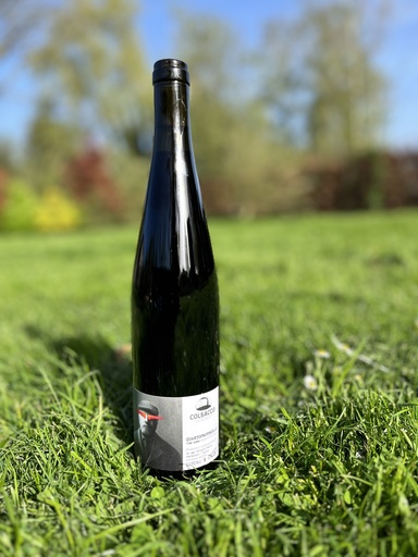 Colbacco (Italie – Ombrie) – Quartoprotocollo 2019