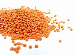 Lentilles corail belges 5 Kg