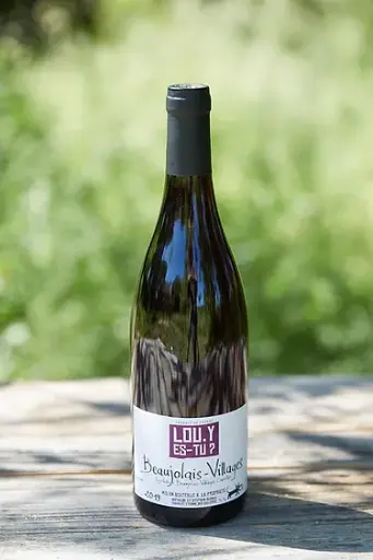 Domaine Durieu (France - Beaujolais) - Lou y es tu 2020