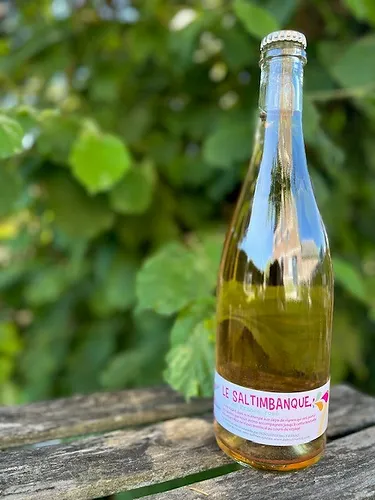 Deboutbertin (France – Loire) – Le Saltimbanque 2020 (par 6 bouteilles)